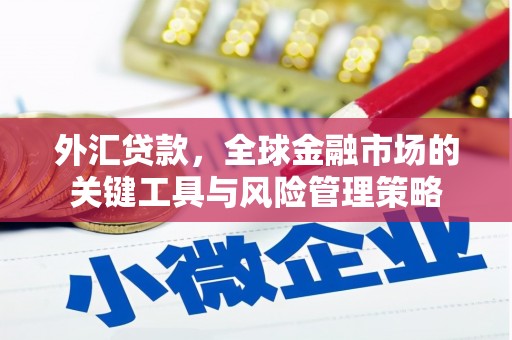 浦北外汇贷款，全球金融市场的关键工具与风险管理策略