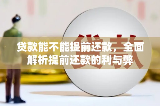 文成贷款能不能提前还款，全面解析提前还款的利与弊