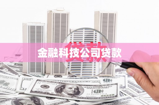 龙山金融科技公司贷款