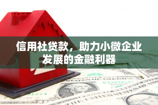 攀枝花信用社贷款，助力小微企业发展的金融利器