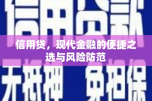 南京信用贷，现代金融的便捷之选与风险防范