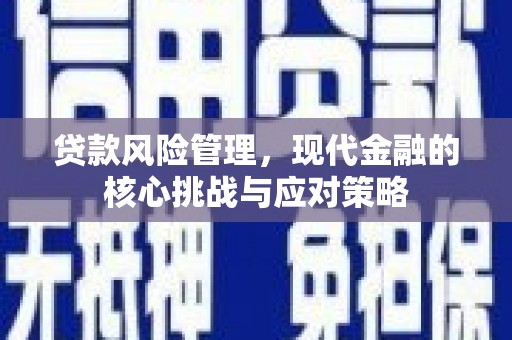 双阳贷款风险管理，现代金融的核心挑战与应对策略