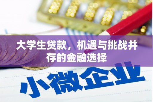 芷江大学生贷款，机遇与挑战并存的金融选择