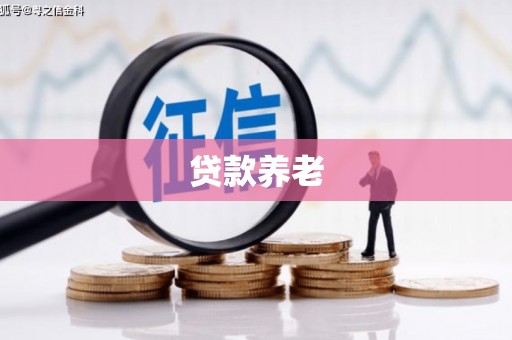 邓州贷款养老