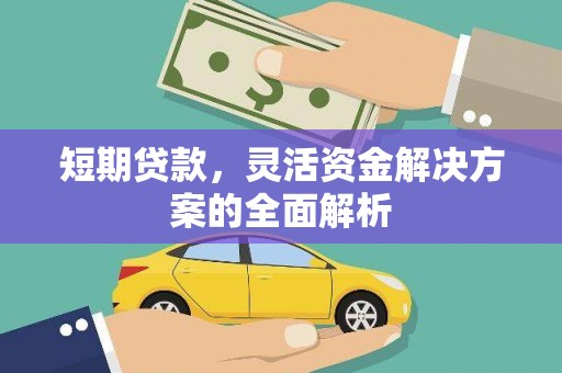 遂溪短期贷款，灵活资金解决方案的全面解析
