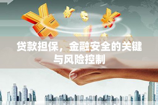 鹿港贷款担保，金融安全的关键与风险控制