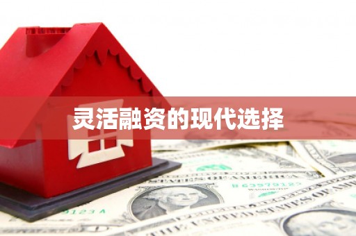 嵊泗灵活融资的现代选择