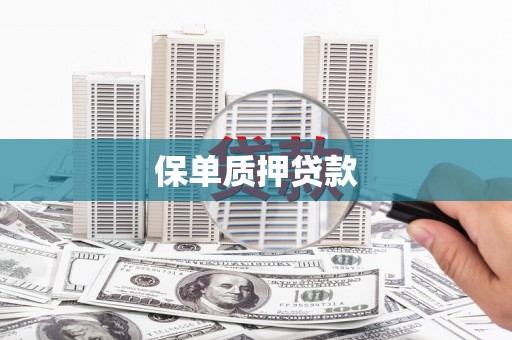 杂多保单质押贷款