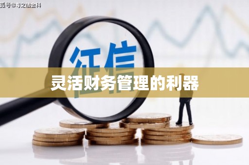汉源灵活财务管理的利器
