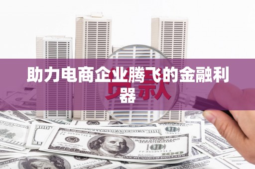 于洪助力电商企业腾飞的金融利器