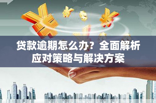 金湖贷款逾期怎么办？全面解析应对策略与解决方案