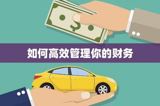 湟源如何高效管理你的财务