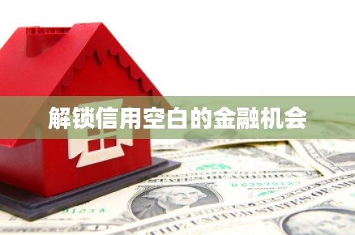 横栏解锁信用空白的金融机会