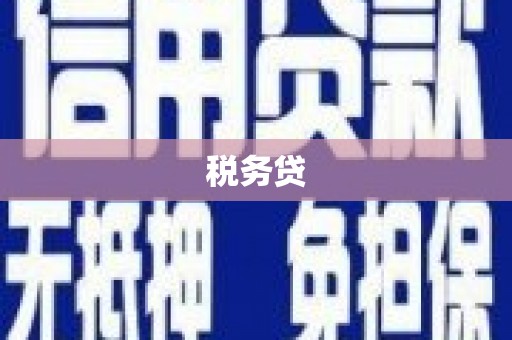 仙游税务贷