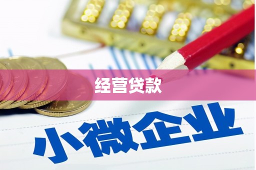 双城经营贷款