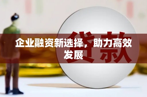 永寿企业融资新选择，助力高效发展
