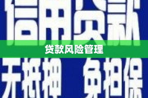 莱山贷款风险管理